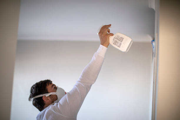 Best Industrial Mold Remediation in Mason City, IL