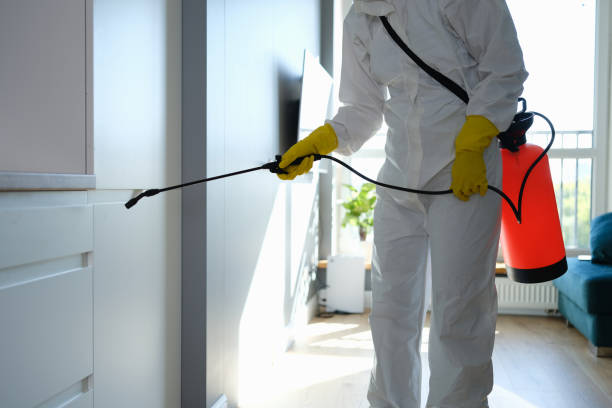 Best Bathroom Mold Remediation in Mason City, IL